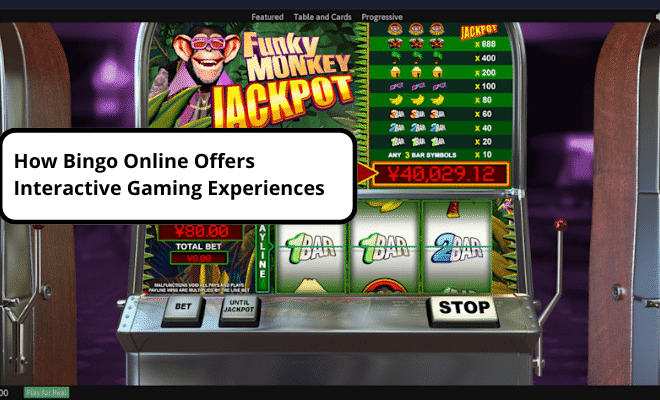 Bagaimana Bingo Online Menawarkan Pengalaman Permainan Interaktif