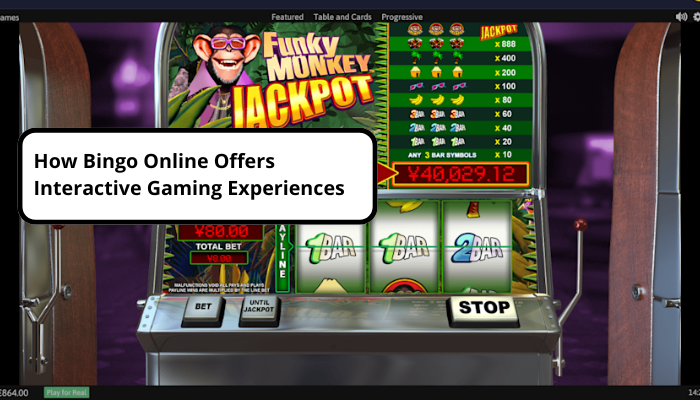Bagaimana Bingo Online Menawarkan Pengalaman Permainan Interaktif